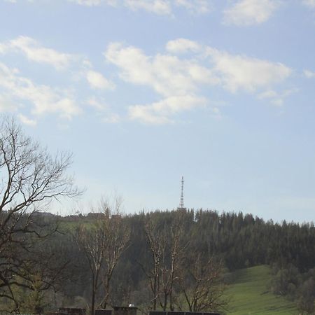 Pokoje Samo Centrum Zakopane ,,Willa Kasztelanka" Buitenkant foto